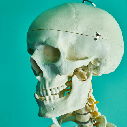 Kinesitherapie als 1ste keuze bij kaak klachten